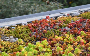 the cost of Woodmansgreen green roof installation