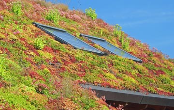Woodmansgreen living roof systems