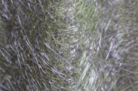 Woodmansgreen fibreglass roof work